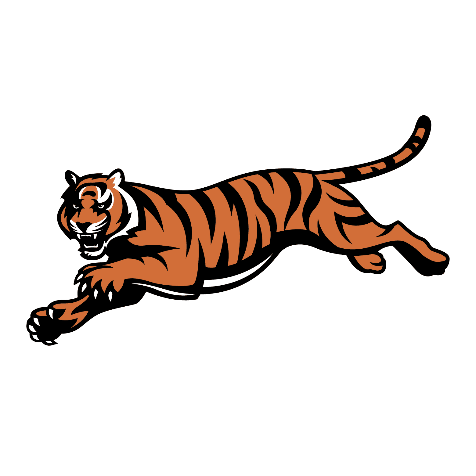 Cinncinati Bengals 