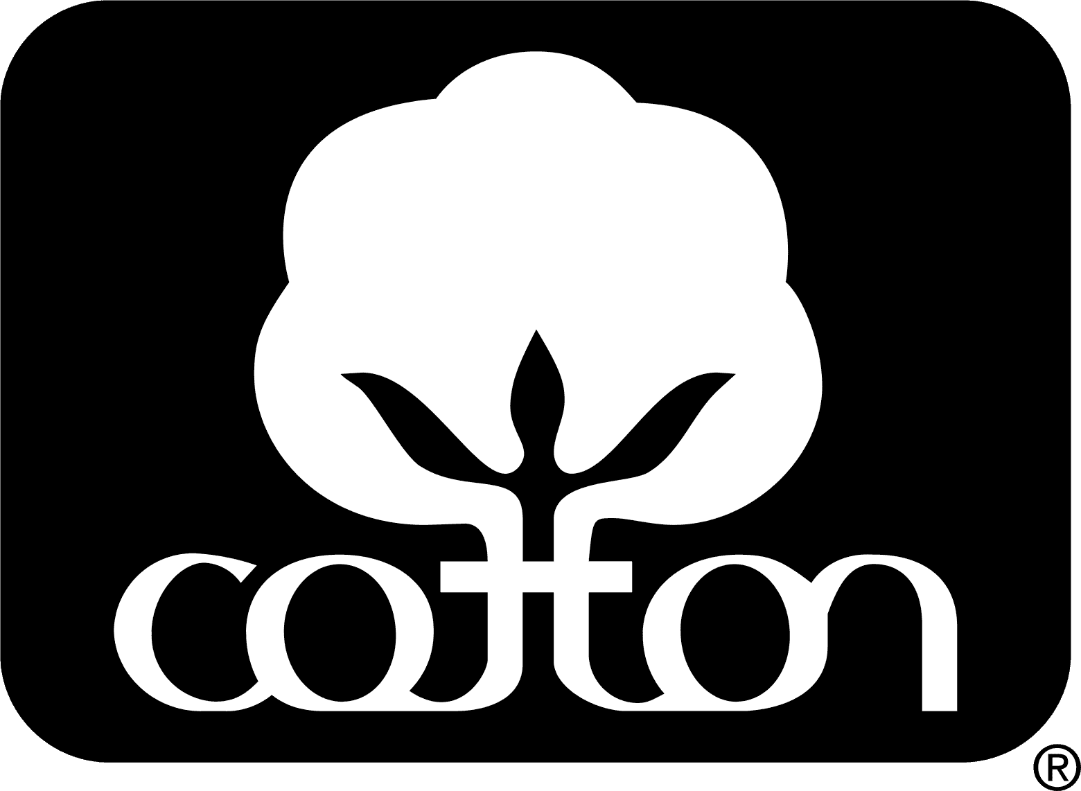 cotton 